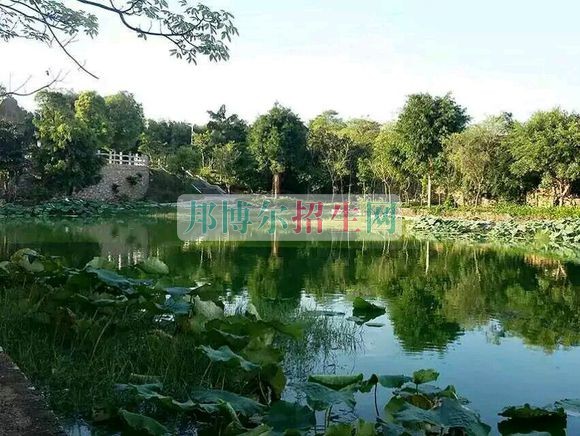 廣西經(jīng)濟職業(yè)學院2016年招生簡章