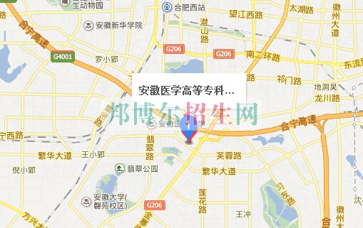安徽醫(yī)學高等?？茖W校