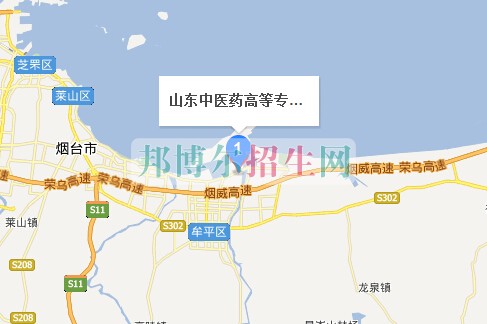 山東中醫(yī)藥高等?？茖W(xué)校