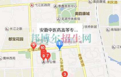 安徽中醫(yī)藥高等?？茖W校