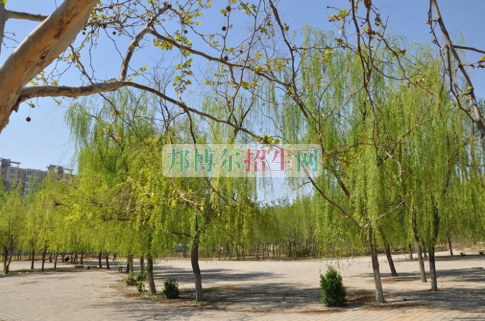石家莊科技信息職業(yè)學院招生辦聯系電話
