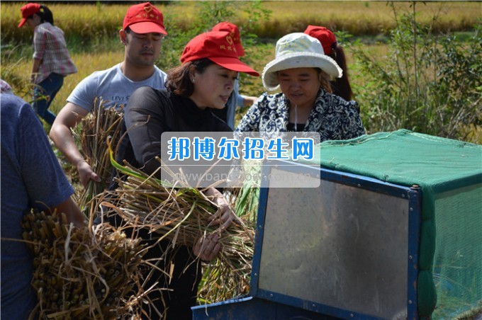 川北幼兒師范高等?？茖W(xué)校歲月積淀中的魅力女性