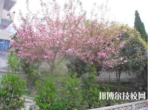 嵐皋縣中等職業(yè)技術(shù)學(xué)校2020年報(bào)名條件、招生要求、招生對象