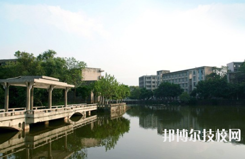 重慶紅春藤技工學校2020年報名條件、招生要求、招生對象