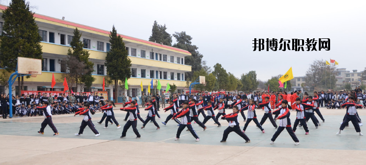 昆明外國(guó)語學(xué)校地址在哪里