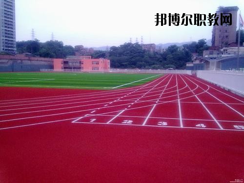 四川電子商務學校2020年報名條件、招生要求、招生對象