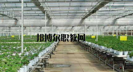隴南農(nóng)業(yè)學(xué)校怎么樣、好不好