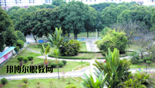 廣西百色農(nóng)業(yè)學校2020年報名條件、招生要求、招生對象 