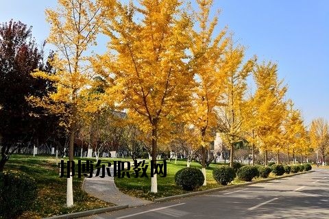蘄春李時(shí)珍中等專業(yè)學(xué)校怎么樣、好不好