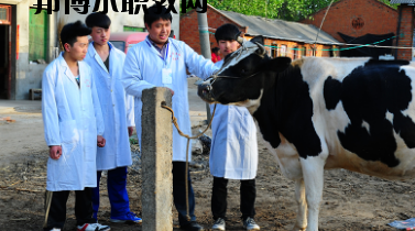 甘南畜牧學(xué)校2020年學(xué)費、收費多少