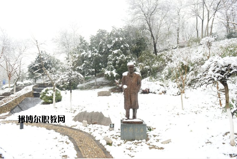 南京工業(yè)大學(xué)2020年報(bào)名條件、招生要求、招生對(duì)象