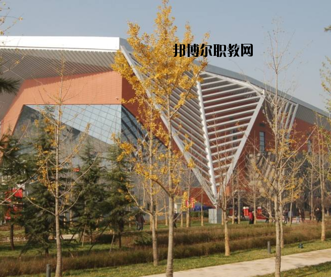 宜昌體育運(yùn)動學(xué)校怎么樣、好不好