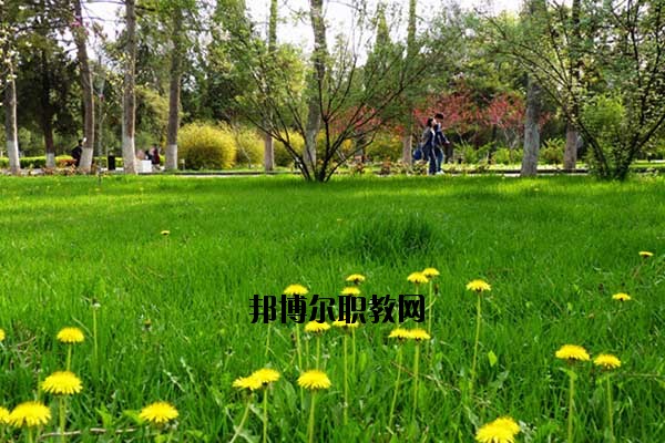 雙江縣職教中心2020年報名條件、招生要求、招生對象