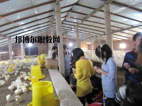 通許中等職業(yè)學(xué)校2021年學(xué)費、收費多少