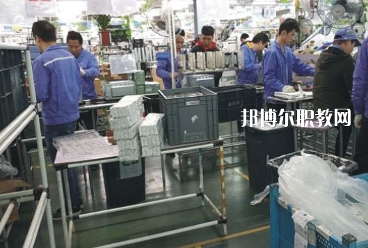 遂溪縣職業(yè)技術(shù)學(xué)校2020年報(bào)名條件、招生要求、招生對(duì)象