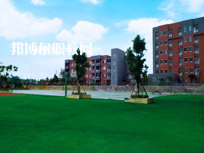 榮縣金科職業(yè)技術學校2021年招生錄取分數(shù)線