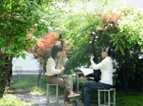 蘇州評(píng)彈學(xué)校2021年報(bào)名條件、招生要求、招生對(duì)象