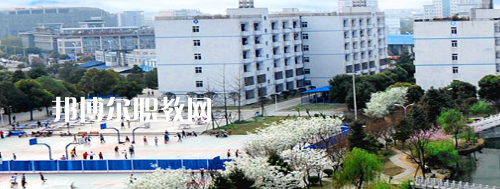 四川交通職業(yè)技術(shù)學(xué)院2022年報(bào)名條件、招生要求、招生對(duì)象