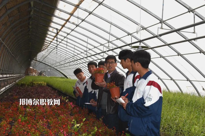 靖遠(yuǎn)職業(yè)教育中心2022年學(xué)費、收費多少