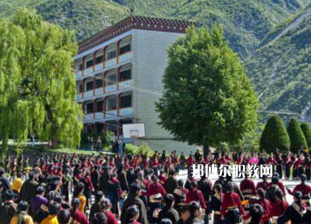 四川省藏文學(xué)校2022年報(bào)名條件、招生要求、招生對(duì)象
