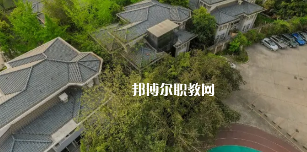 成都文化藝術學校網(wǎng)站網(wǎng)址