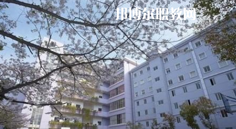 武漢體育舞蹈藝術(shù)學(xué)校2022年怎么樣、好不好