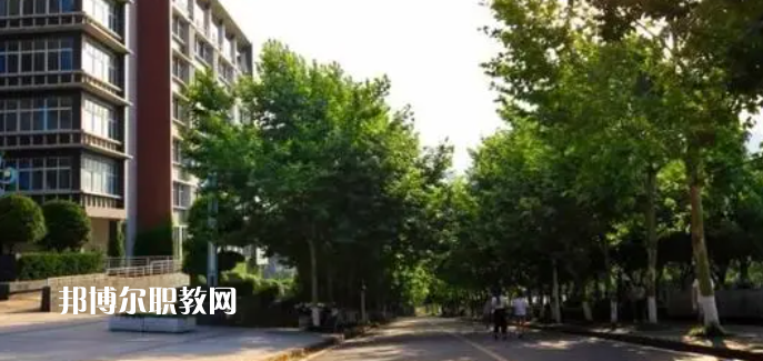 重慶醫(yī)藥高等?？茖W校好不好_2023年有單招嗎