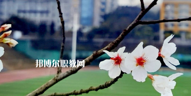 2023眉山技師學院招生計劃 招生人數(shù)是多少(附要求、條件、對象)