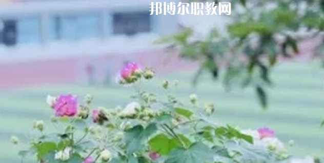 眉山技師學(xué)院地址在哪里，哪個(gè)地區(qū)，哪個(gè)城市?