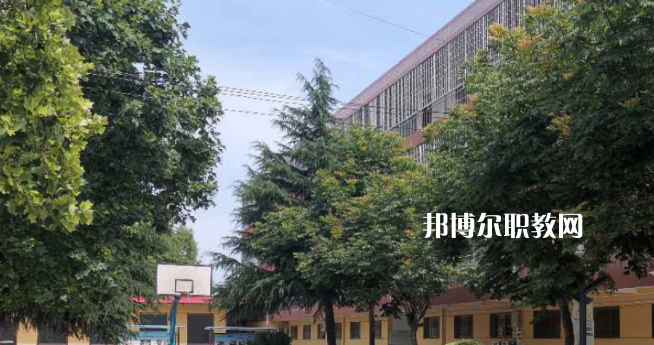 2023楊凌師范學校招生計劃 招生人數(shù)是多少(附要求、條件、對象)