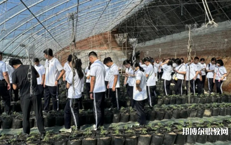 2024營口市農(nóng)業(yè)工程學(xué)校招生計(jì)劃 招生人數(shù)是多少(附要求、條件、對象)