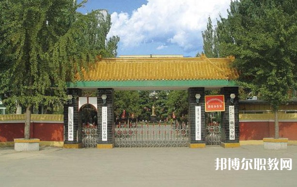 2025沈陽市中醫(yī)藥學(xué)校招生計(jì)劃 招生人數(shù)是多少(附要求、條件、對(duì)象)