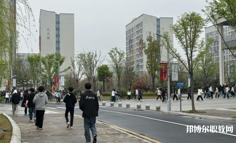 2025合肥技師學院招生計劃 招生人數(shù)是多少(附要求、條件、對象)